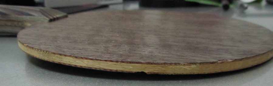  Stiga Ti5.4 FL ʵı