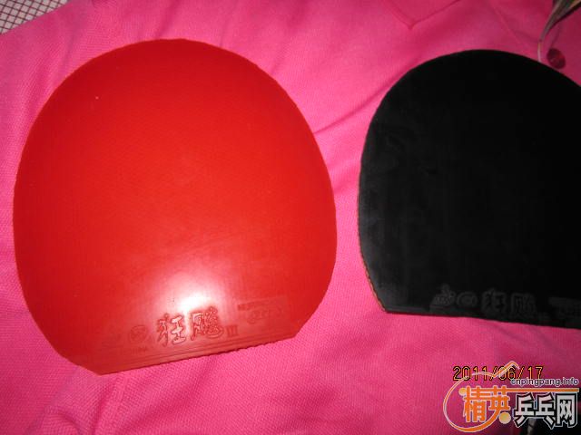 ����˫�洩ѵ���տ�+ʡ�� 240Ԫ�����������տ�3�ͺ����������