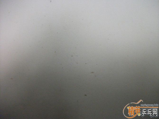 ���ĸ��ó�ɫ��Ƥ�����Ǻ�壺�л���ͣ��л�el max��38��neoʡ��baracuda��