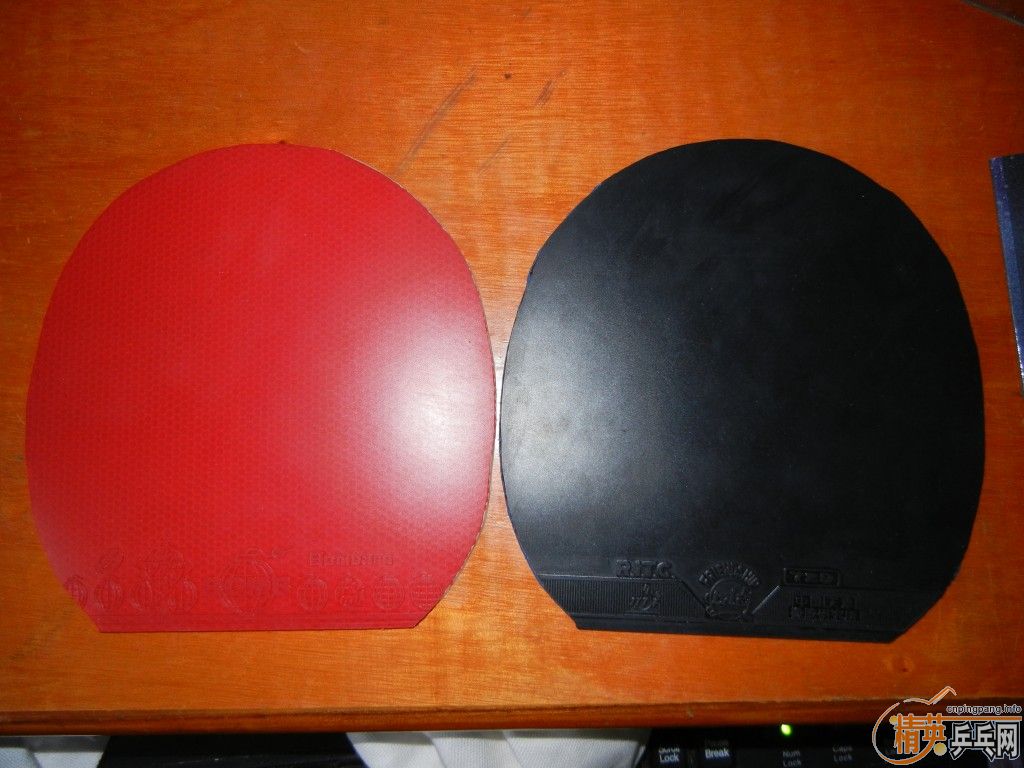 �����Ž�Ƥ