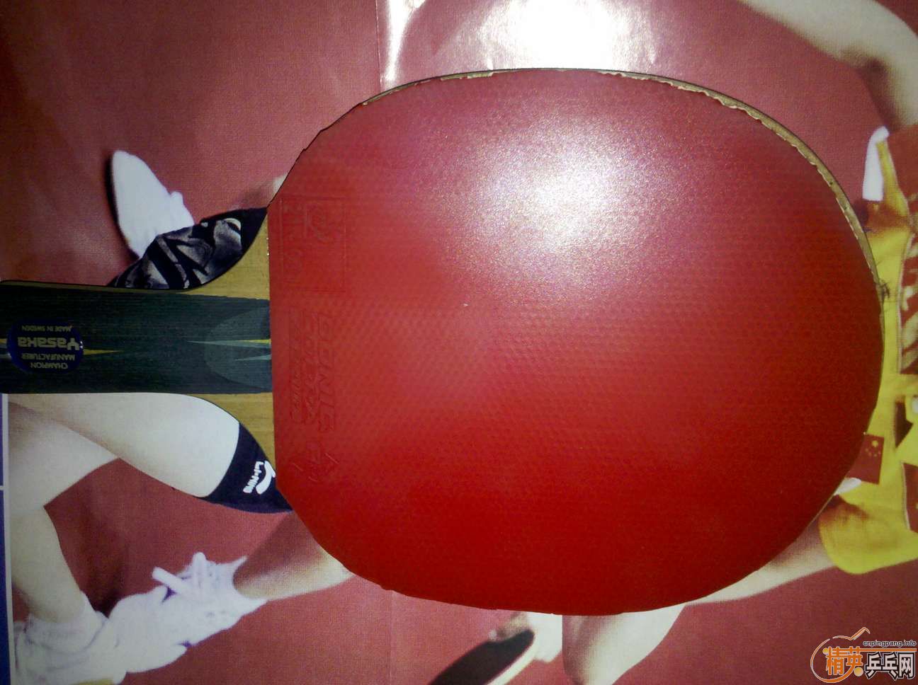 b8uqBcN8.jpg
