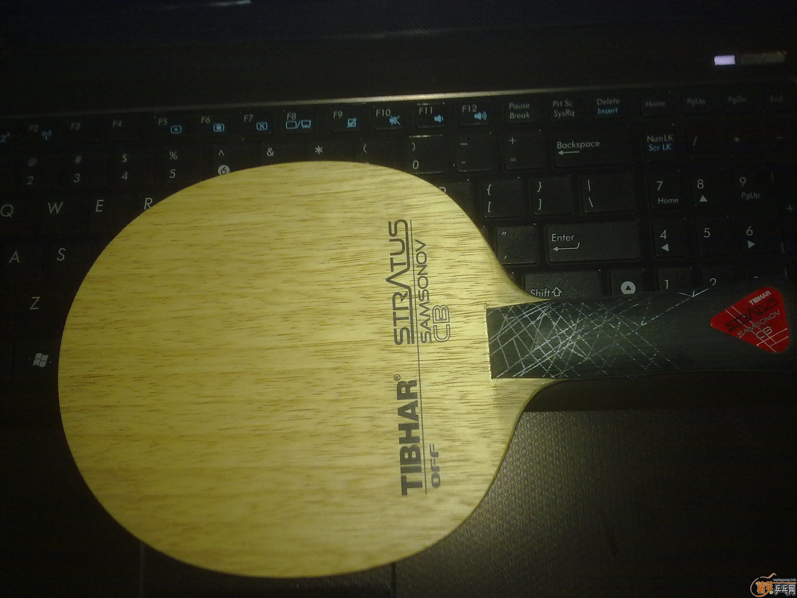 ������ ����Ϊ֤