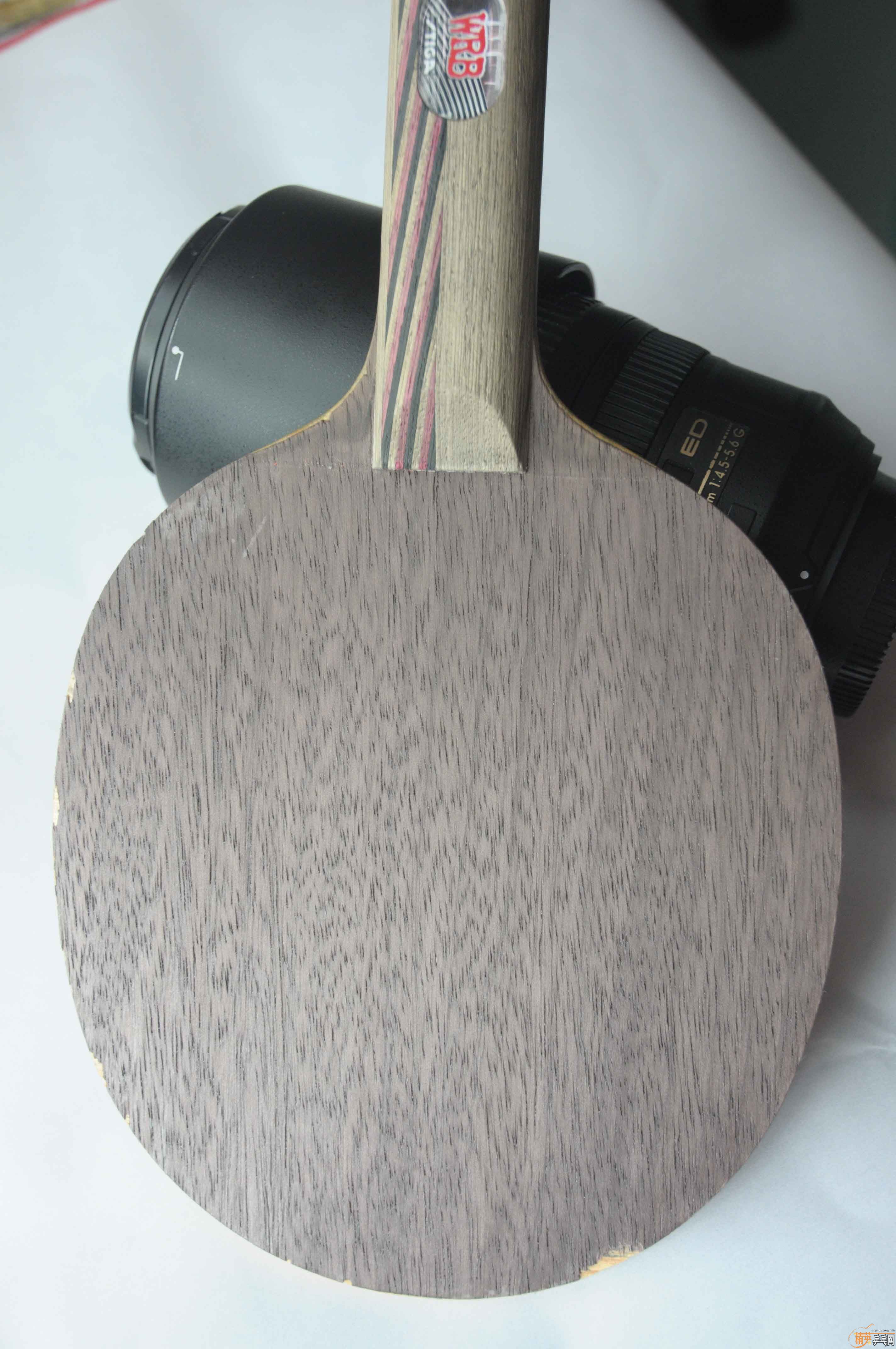 ˮ��Stiga ��54 �� 350���ʳ���