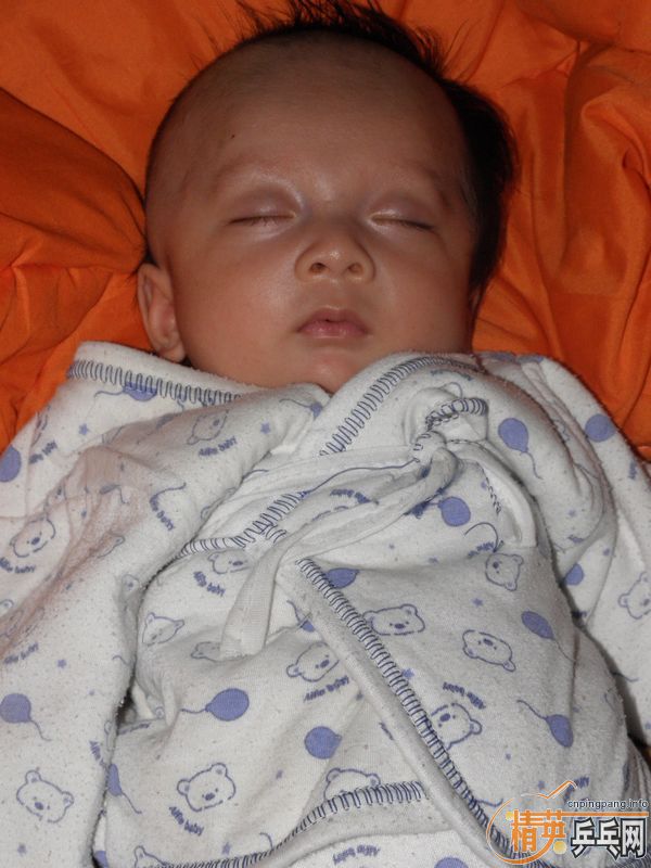 [����]������������Ϊ��С�ϳ������Ž�����΢Ц����Ҷ���������ɣ�