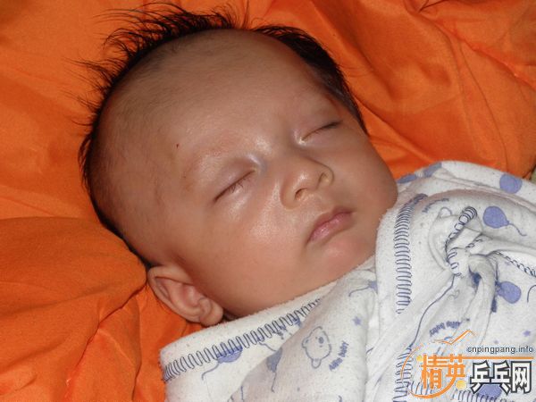 [����]������������Ϊ��С�ϳ������Ž�����΢Ц����Ҷ���������ɣ�