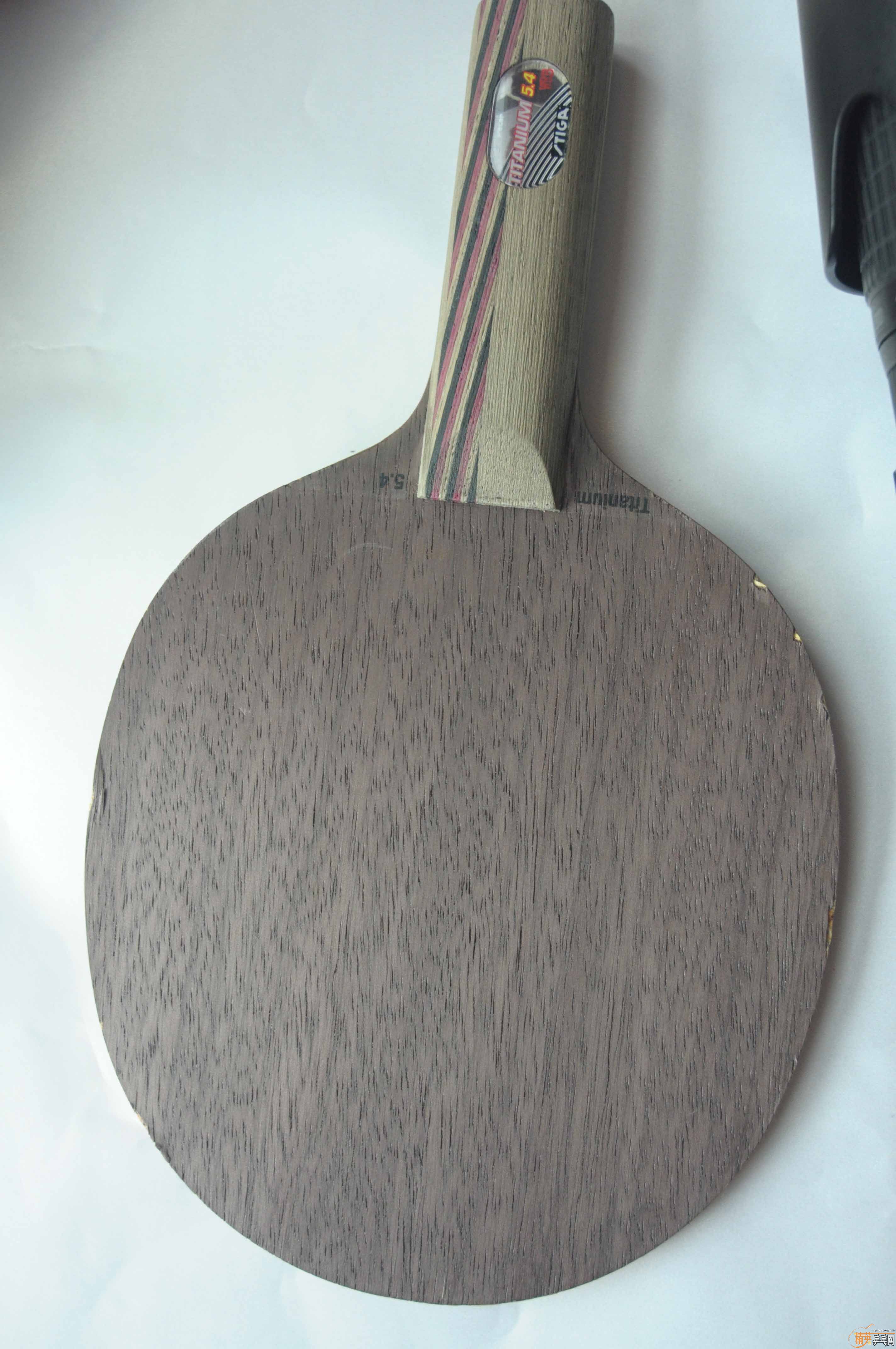 (�Ե���)ŷ��Stiga ��54 �� 315���ʳ��� ֧��������