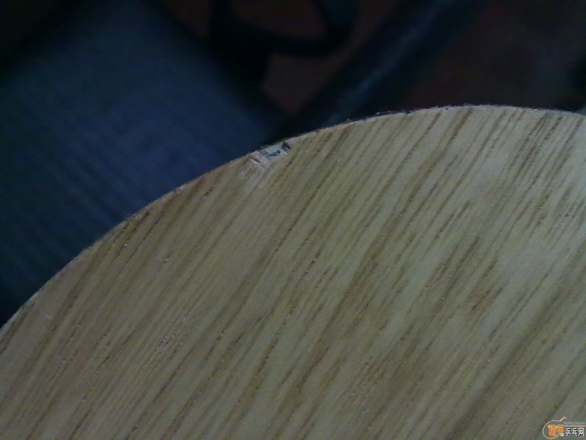 ���л���̼