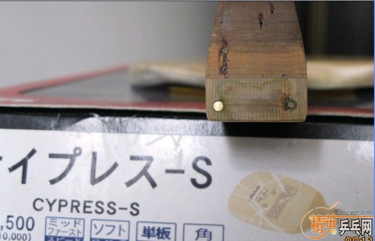 420���죡�������Ƚ��ϵ�CYPRESS-S