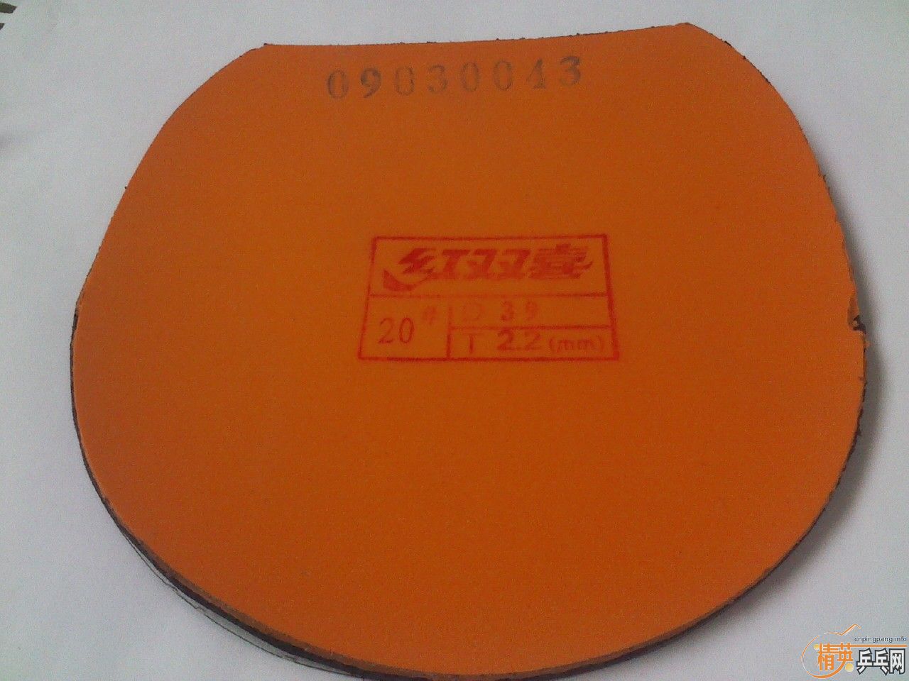 [ԭ��]����˫ϲר�����İ���������JO��ʡ��