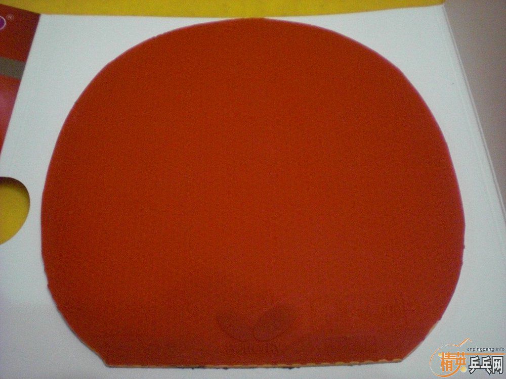 �������׽�