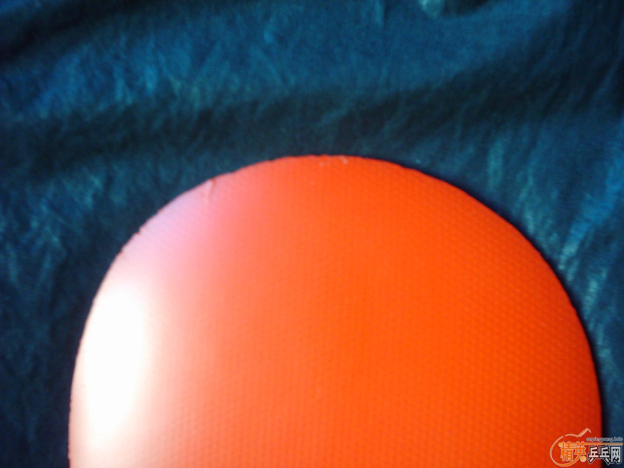 S1---------------------------ֱ������