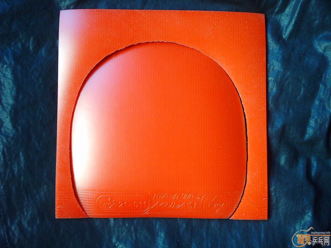 S1---------------------------ֱ������