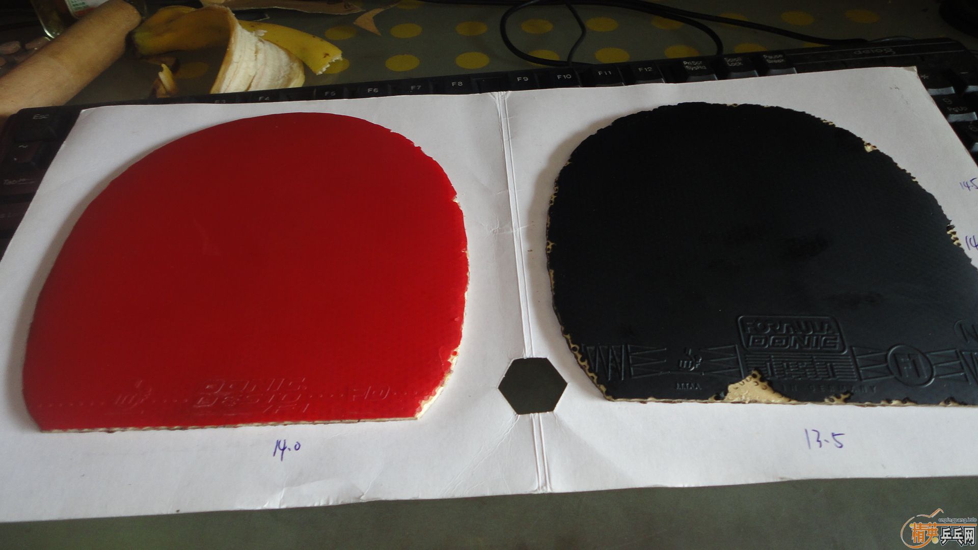 ����F1����ʡ���39��40�ȶ���