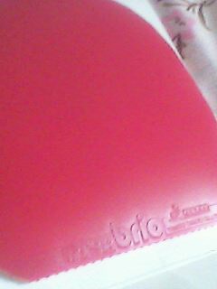 TSP׽brio9.5¡