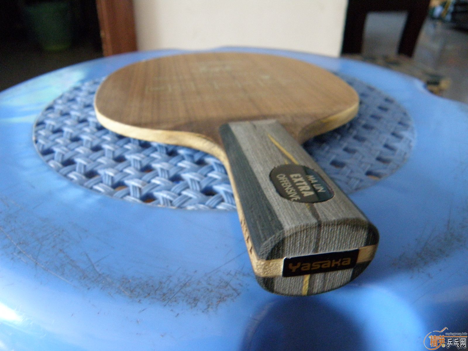 ��9�����հ���̼��YEO��һֻ