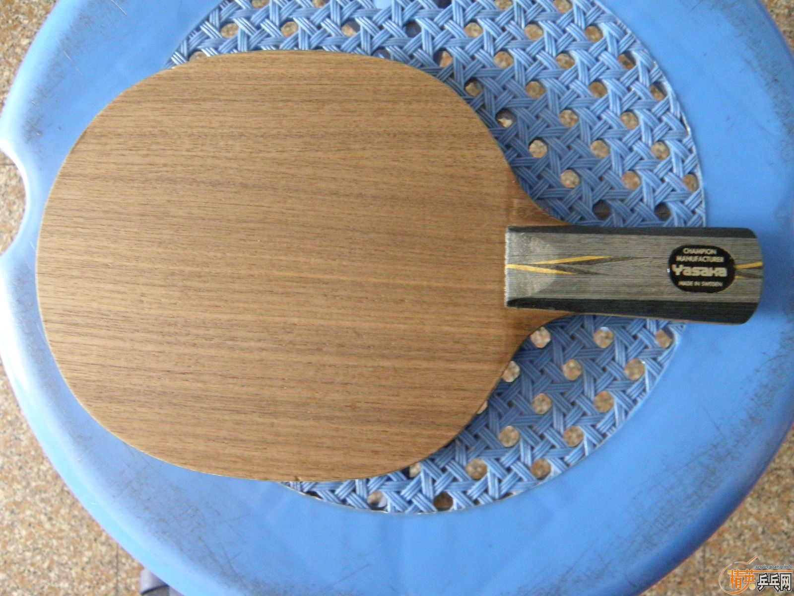 ��9�����հ���̼��YEO��һֻ