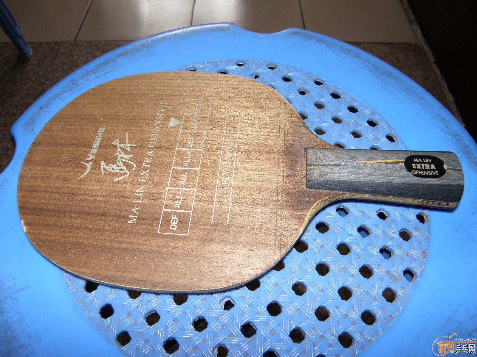 ��9�����հ���̼��YEO��һֻ