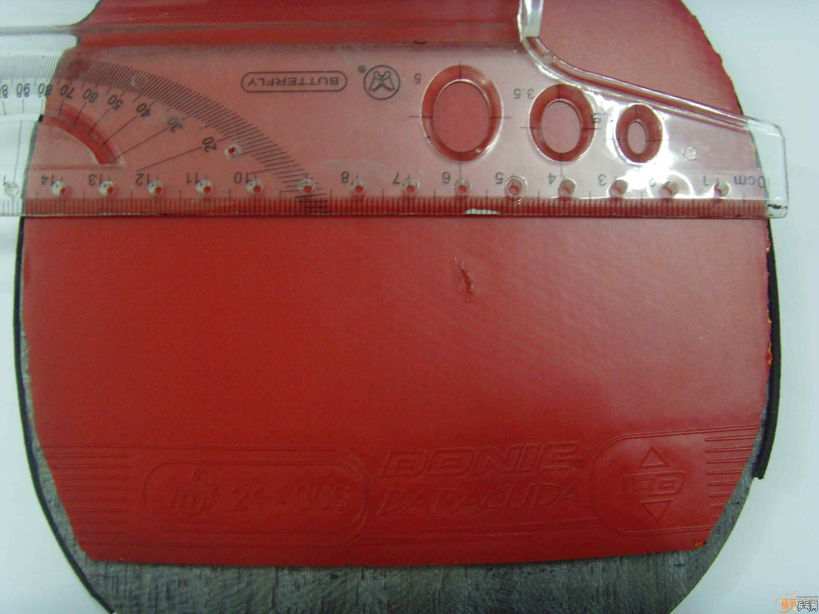 ��ֱ���ɫ�ӣ��Ͱ�������ɫ����