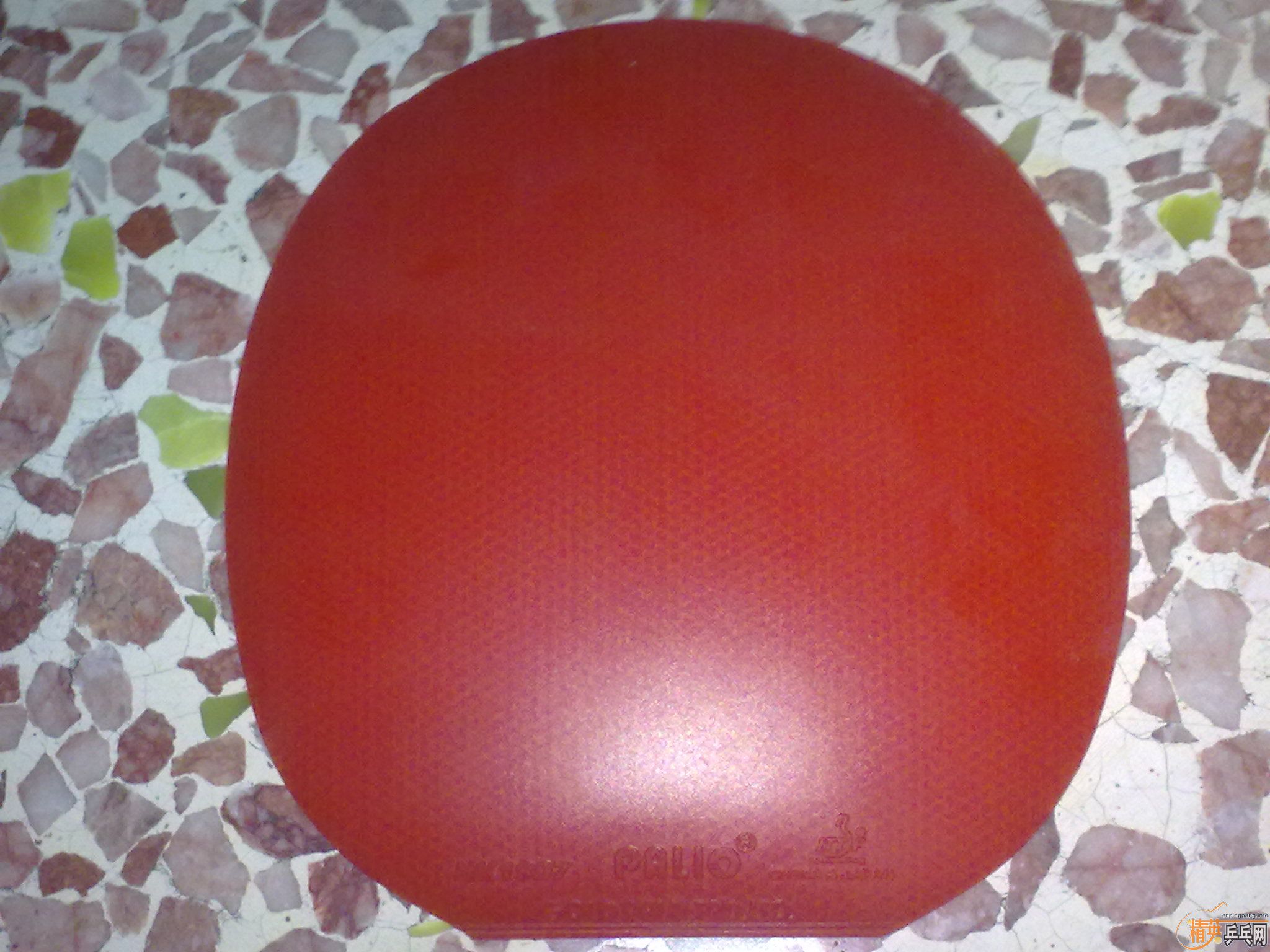 �س��ˣ������ͣ��Ž����к�����ʡ��