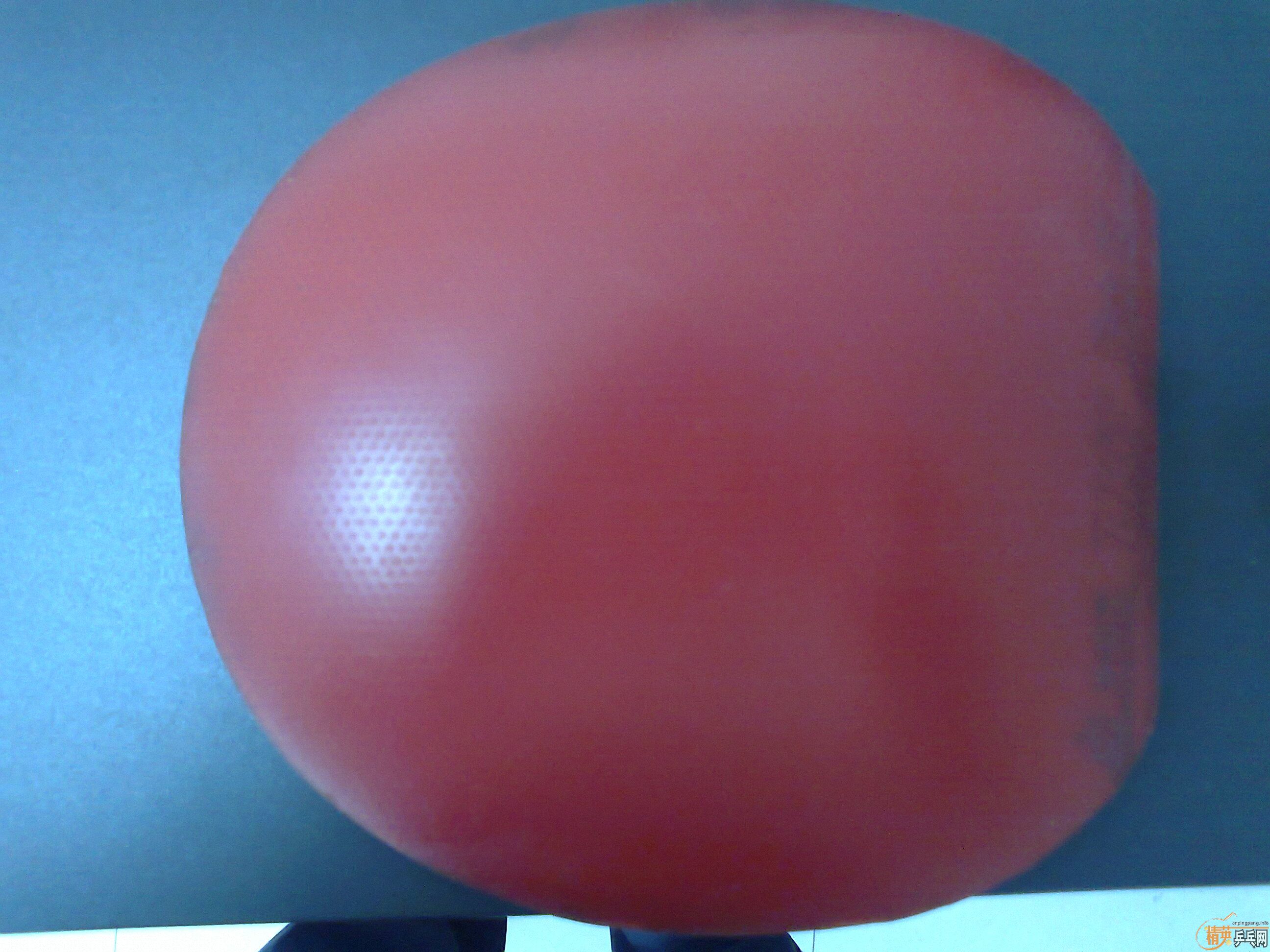 8.5���������л�OCCRWRB�Ͷ����׽�280���ʣ�������