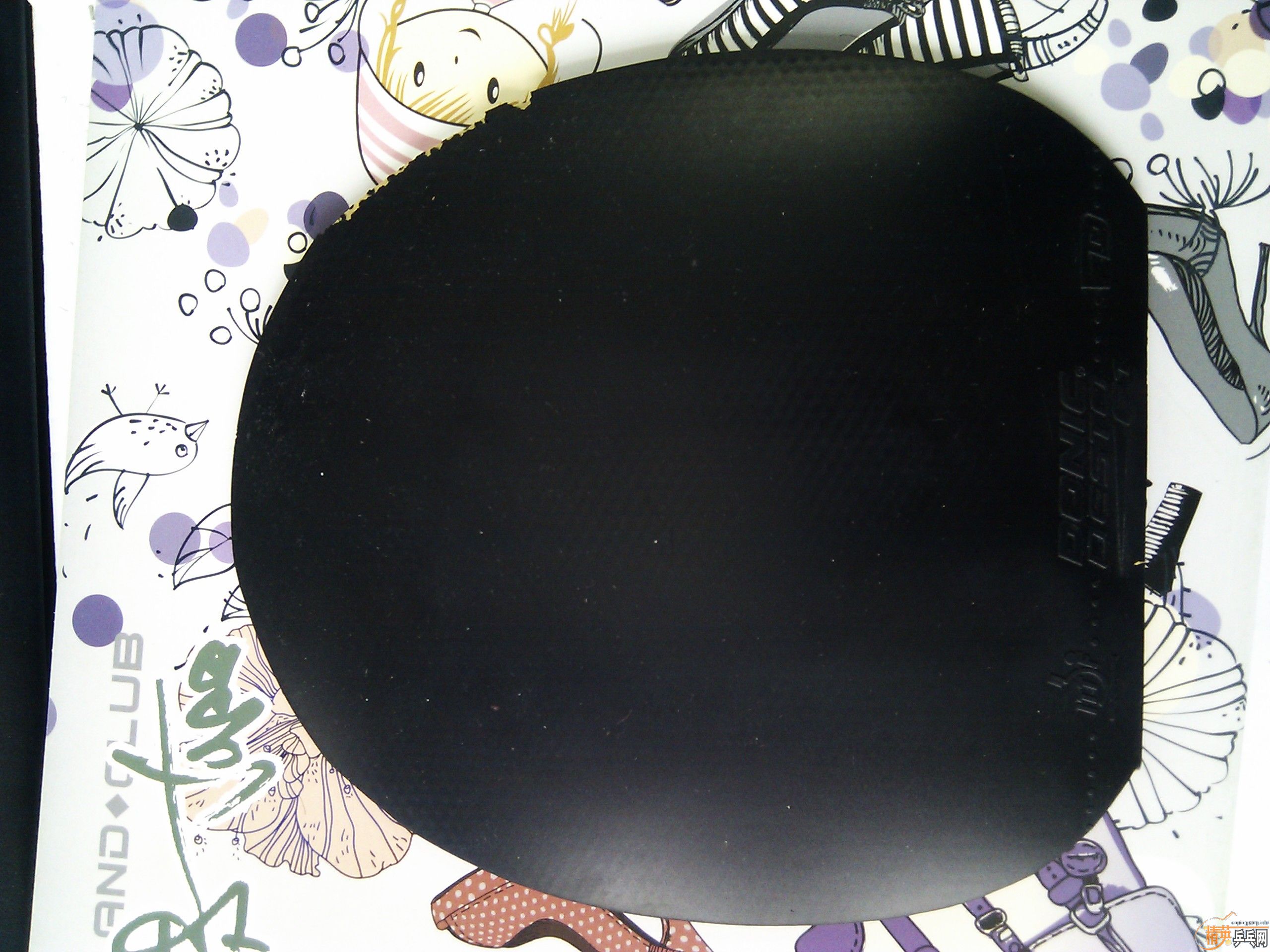 ����ɫF1���򻻽���