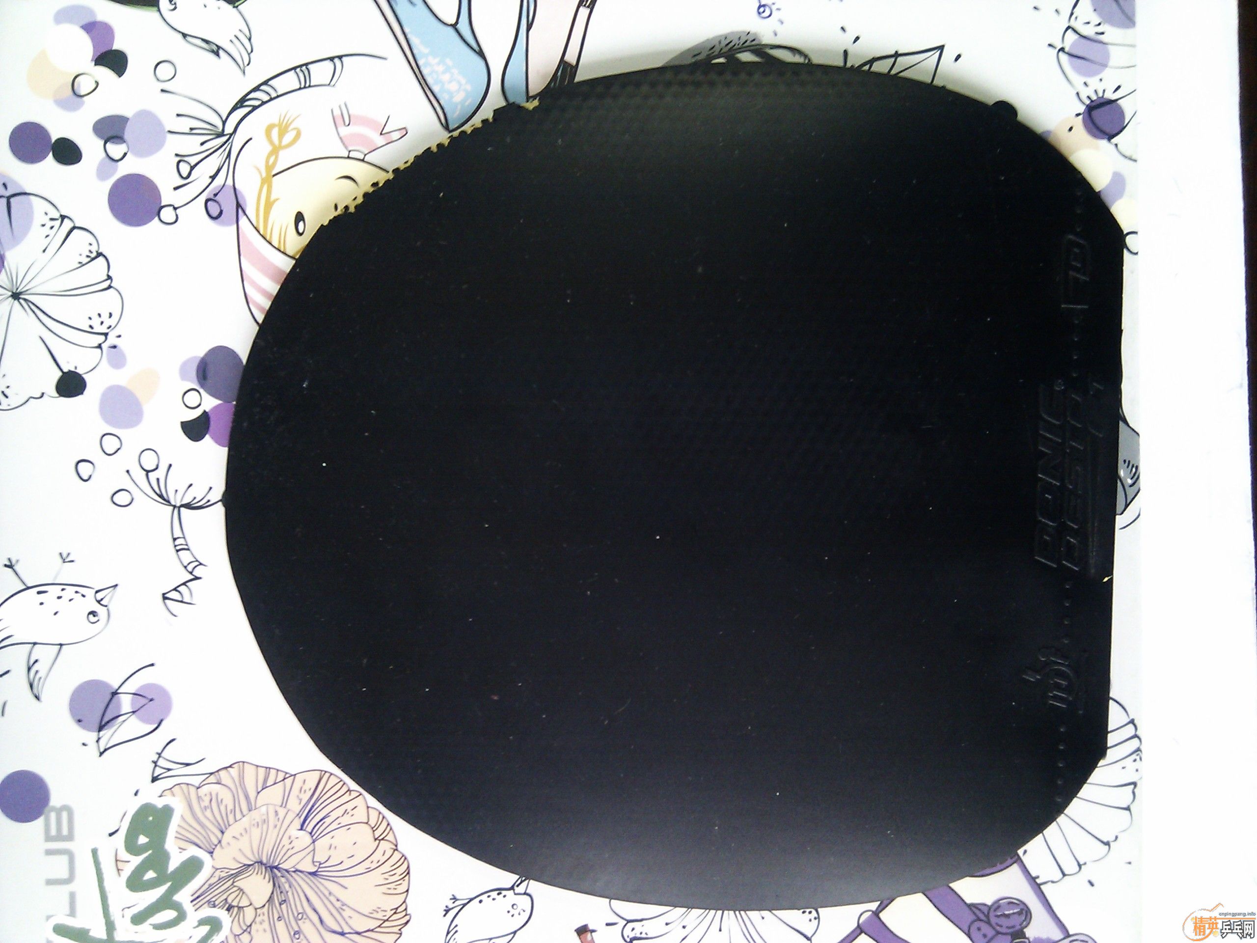 ����ɫF1���򻻽���