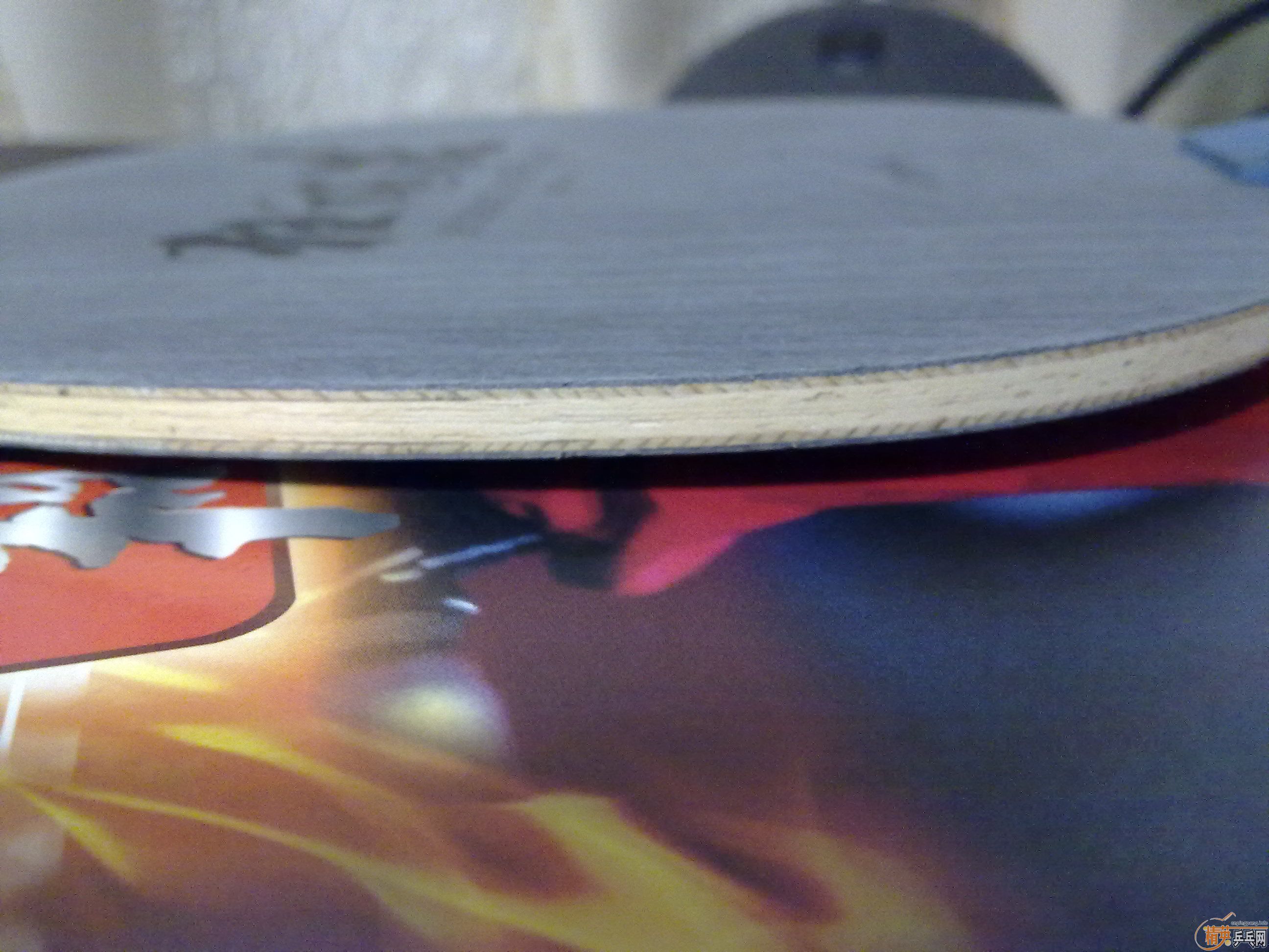 ���� 300��