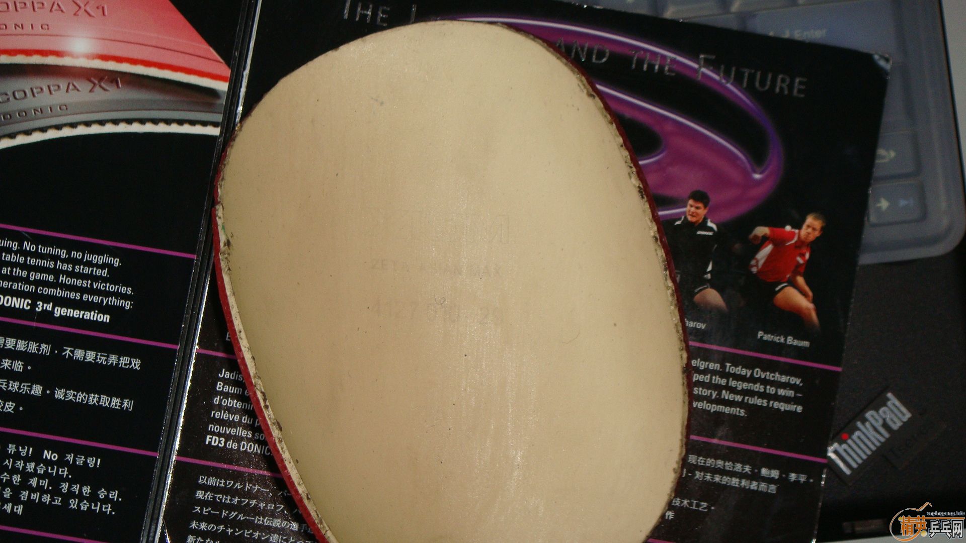 ���ͽ�̤����ɫ����������棬80���ʡ�