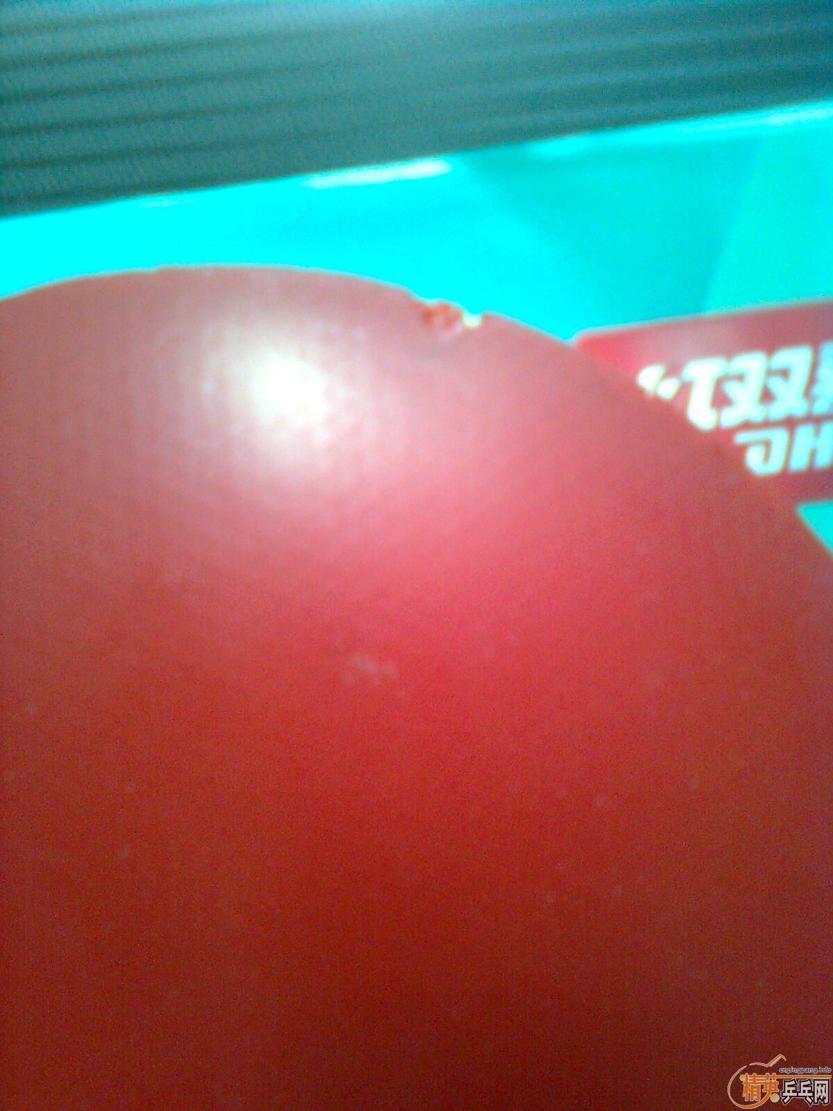 ������ ������ţ�65����