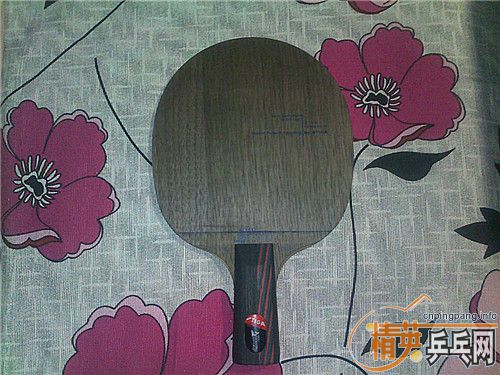 �л�����OC��300Ԫ����