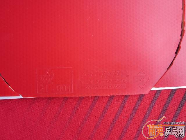 ��YASAKA 2010���¿�YES ST��������jo ��ʡ��2.15�տ�