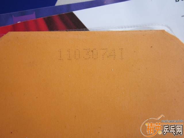 ��YASAKA 2010���¿�YES ST��������jo ��ʡ��2.15�տ�