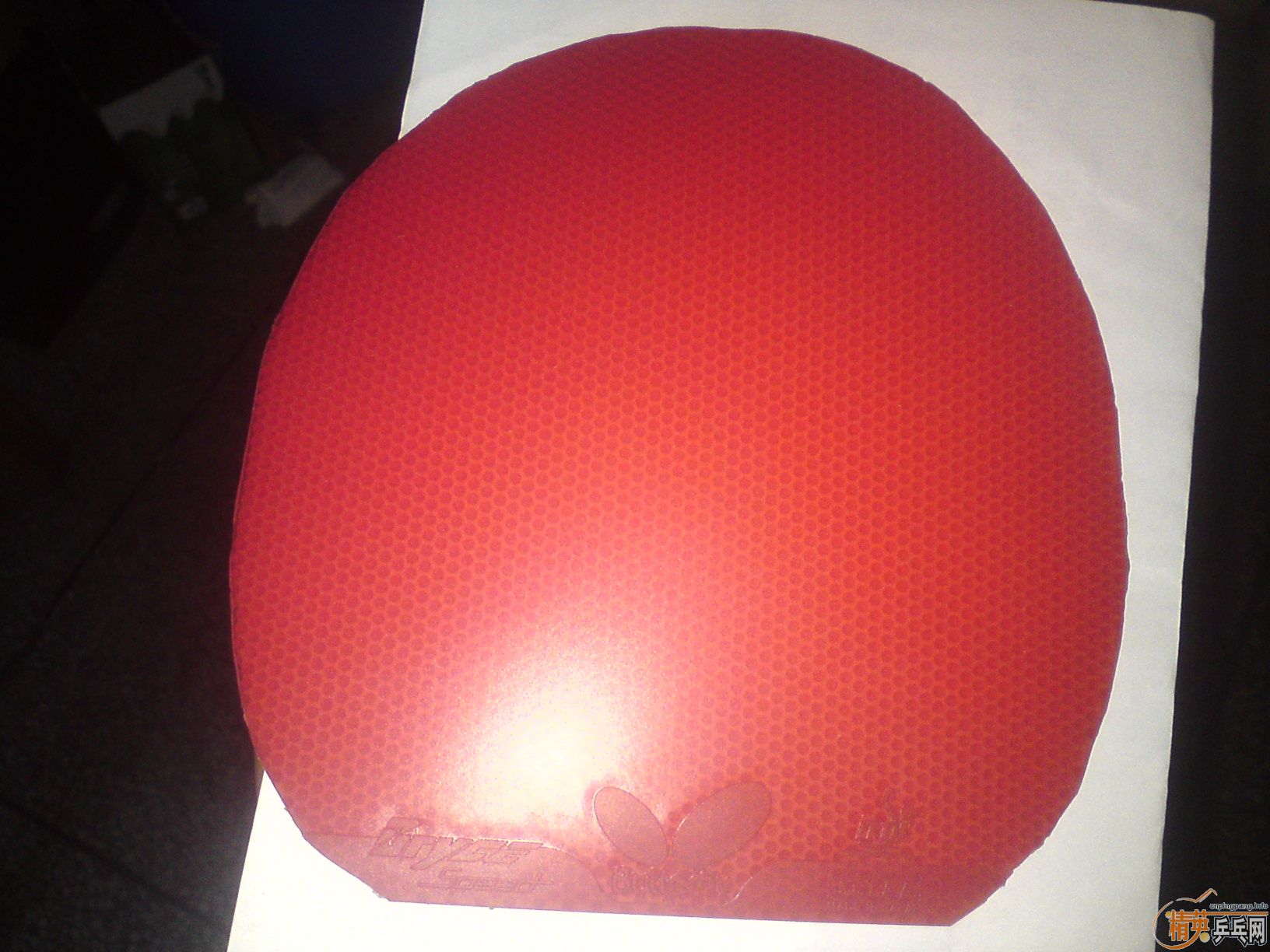 ��ɫ���speed