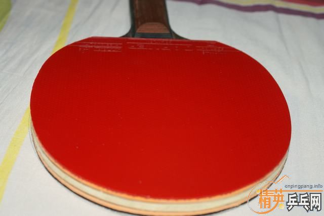 ST��OC-CR����˵�Ʒ�࣬��˶��ͼƬ����˴����ľ��ģ��ѵ��Ͳ��ܻ�����żȻ��һ�۹�ע���ѵ��Ͳ��ܻ�����˸������ԣ�