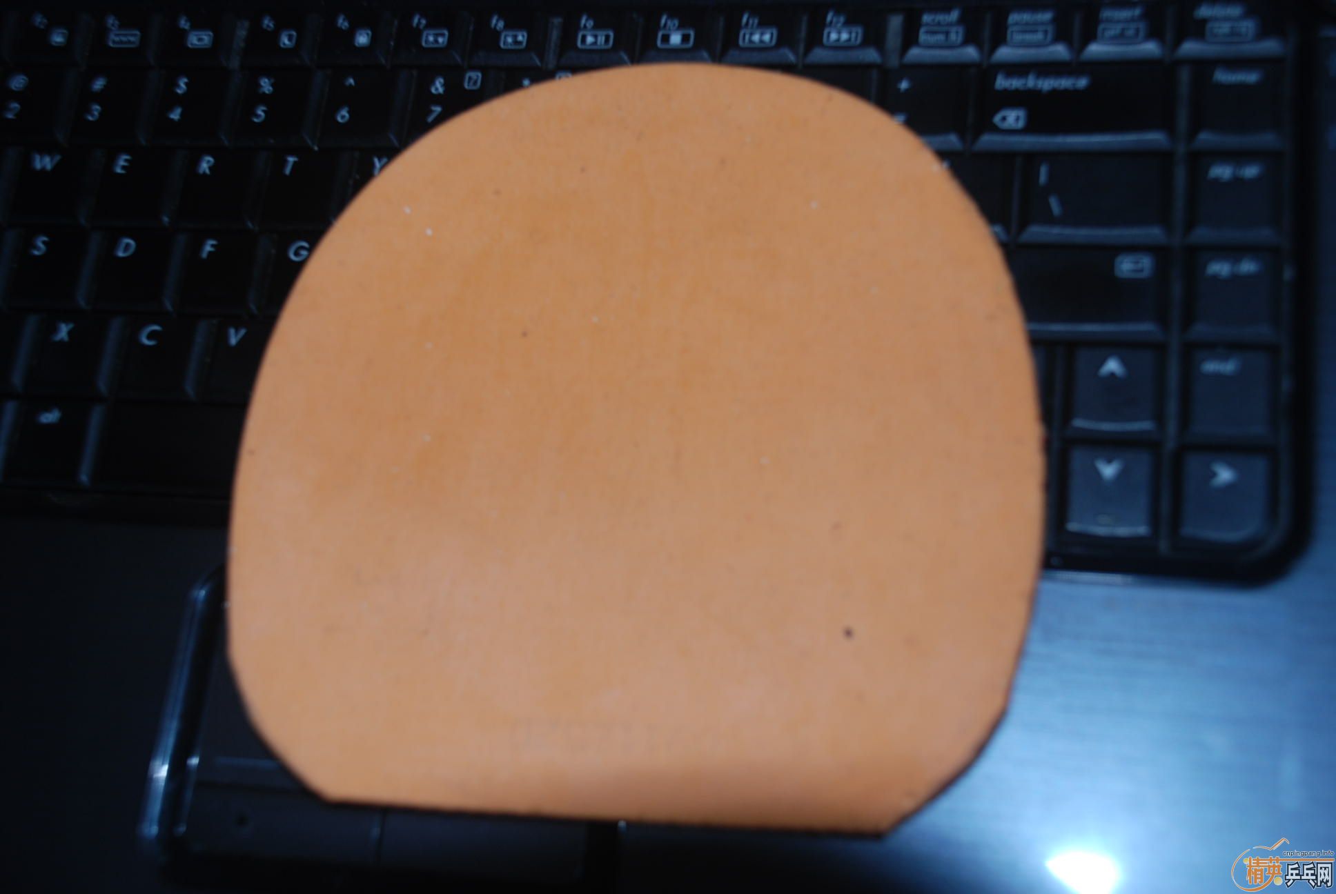 ľ��������09ʡ��֧��֧������