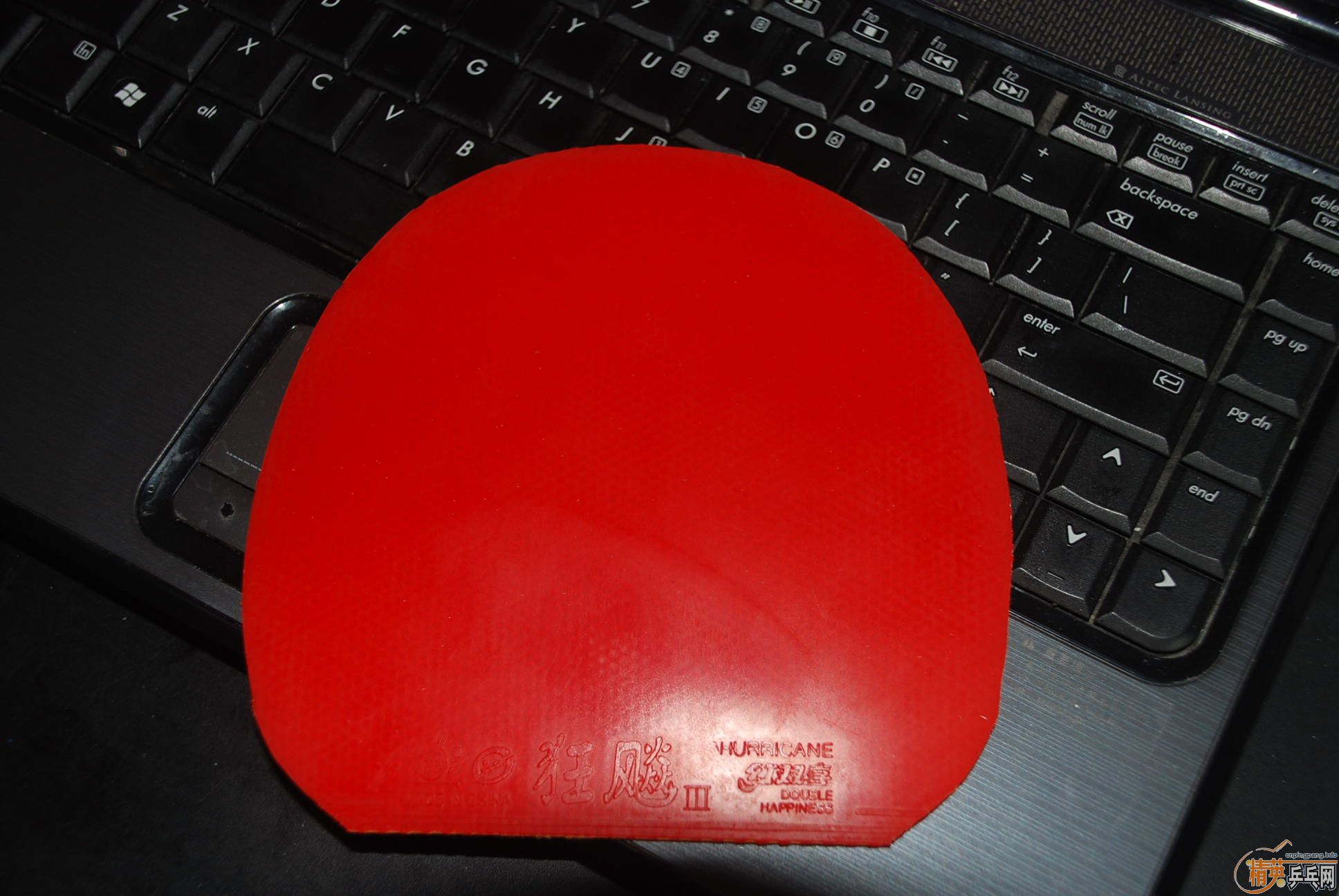 ľ��������09ʡ��֧��֧������