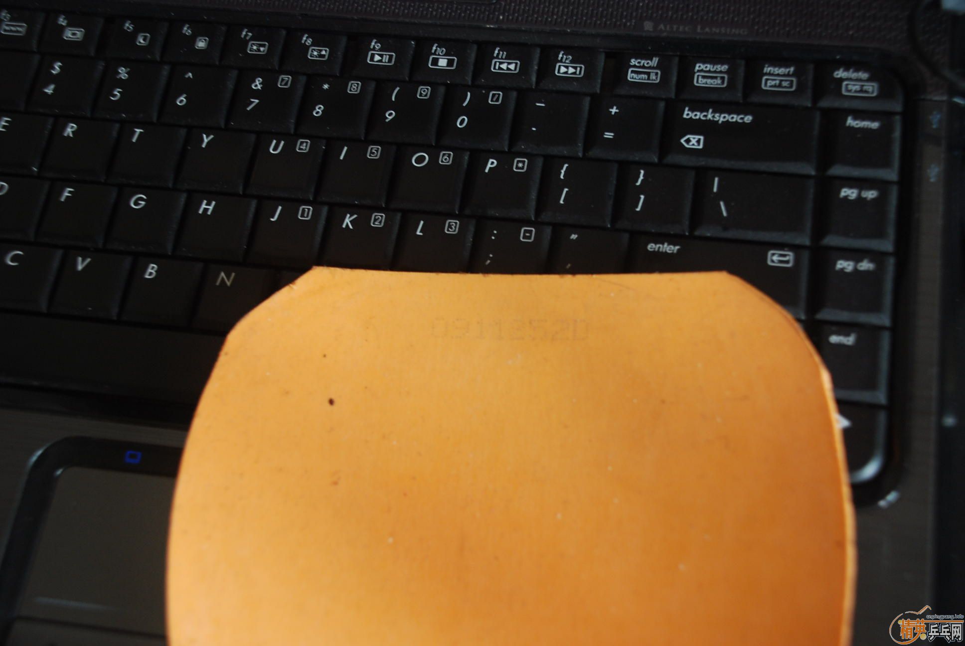 ľ��������09ʡ��֧��֧������