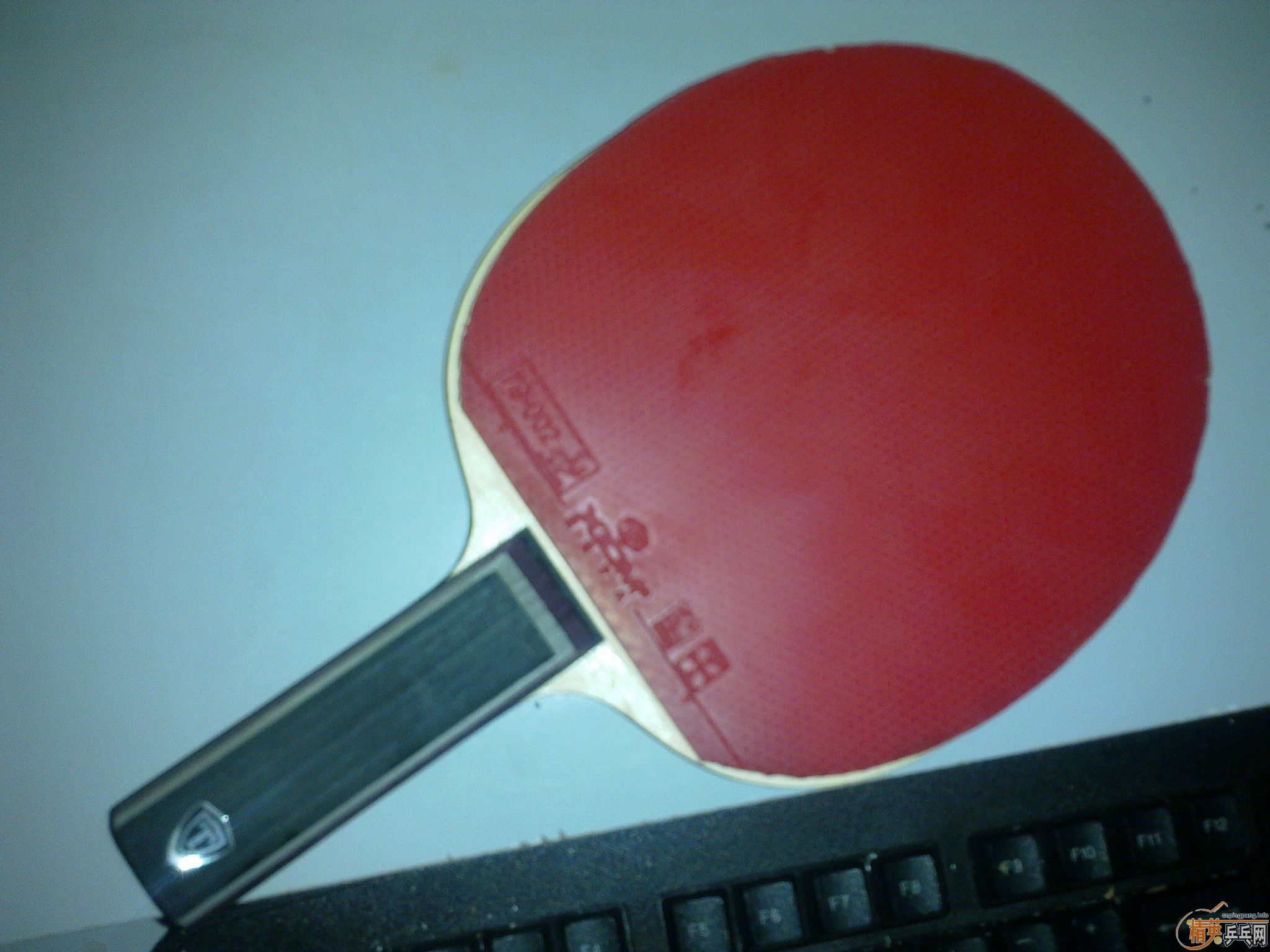 ��꿳��壬����������������XIOM˺��ͼ������������������������������