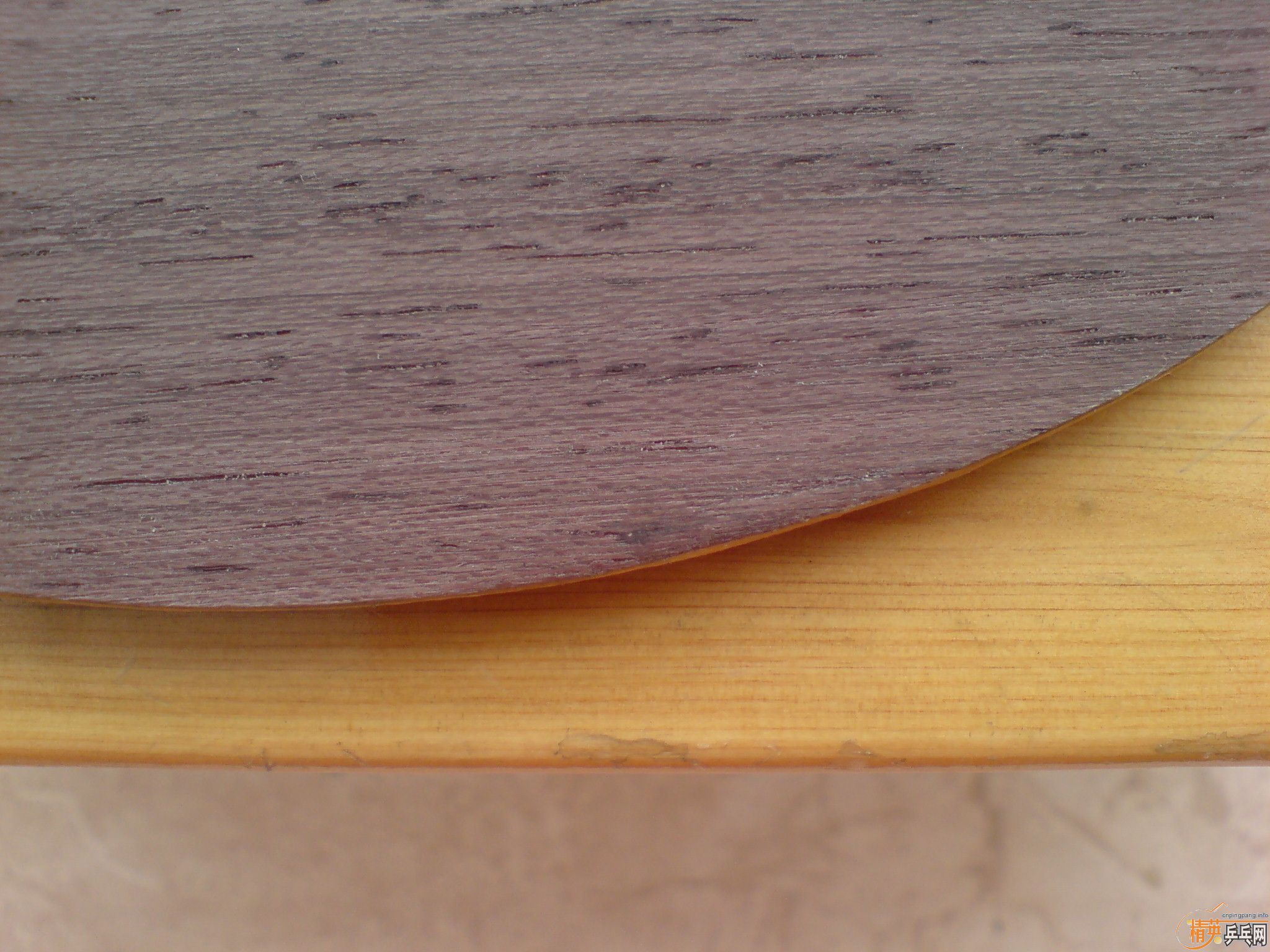 ��08 09 ����