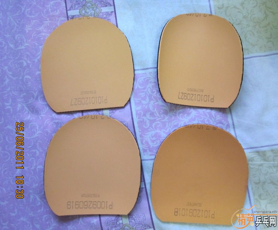 ���۶��ֹ���Ͷ���BARACUDA