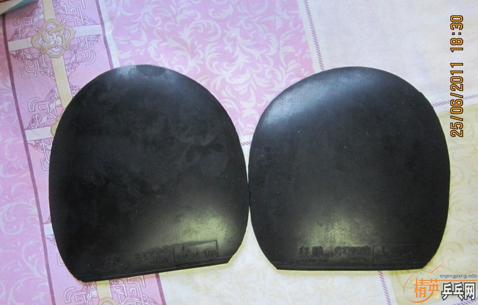 ���۶��ֹ���Ͷ���BARACUDA