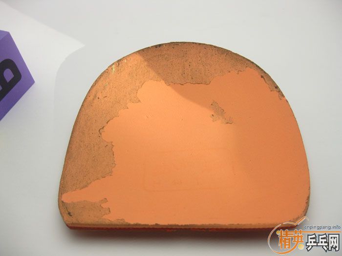 40Ƭ���ֽ� ����һ���ʺ� F1 SRIVER ���� ��� ����