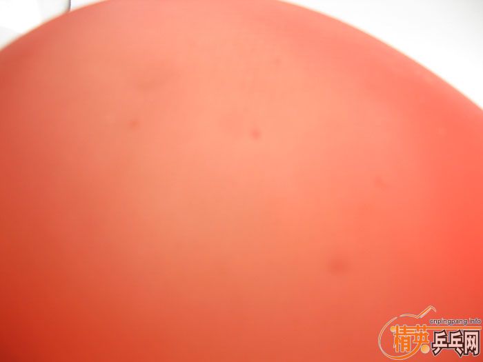 40Ƭ���ֽ� ����һ���ʺ� F1 SRIVER ���� ��� ����