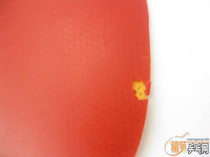 40Ƭ���ֽ� ����һ���ʺ� F1 SRIVER ���� ��� ����