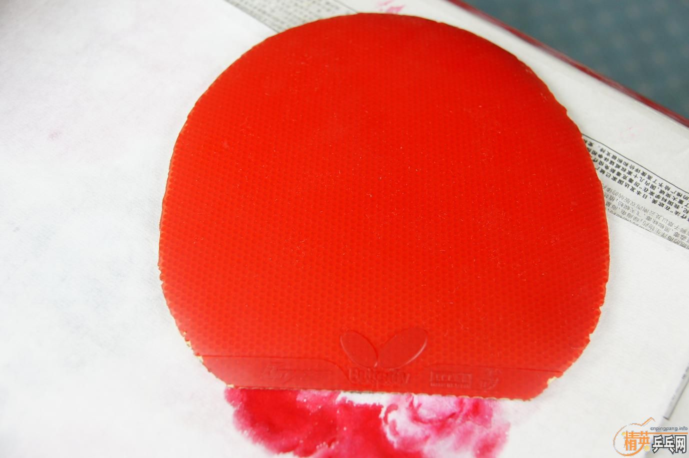 ������͡�donic BARACUDA�����3�������