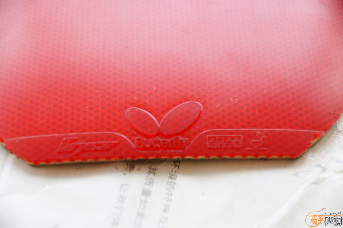 ������͡�donic BARACUDA�����3�������