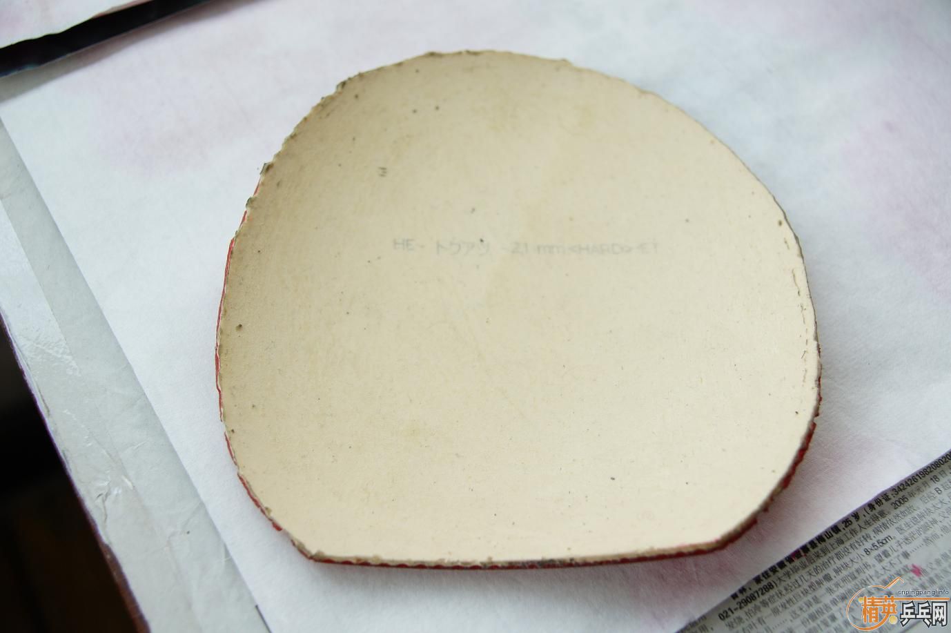 ������͡�donic BARACUDA�����3�������