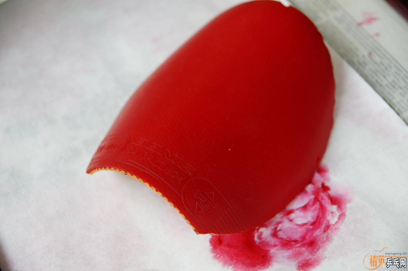 ������͡�donic BARACUDA�����3�������