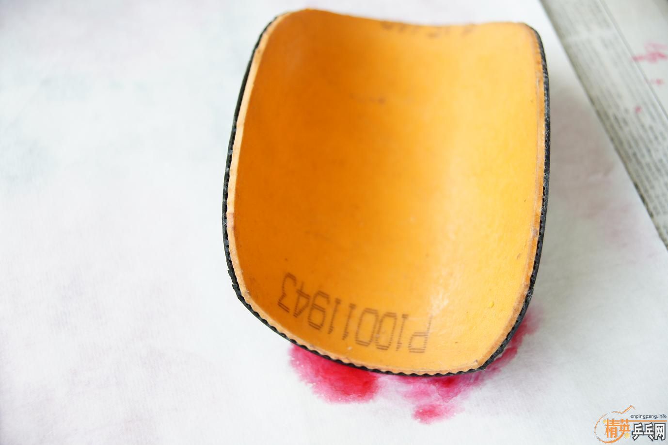 ������͡�donic BARACUDA�����3�������