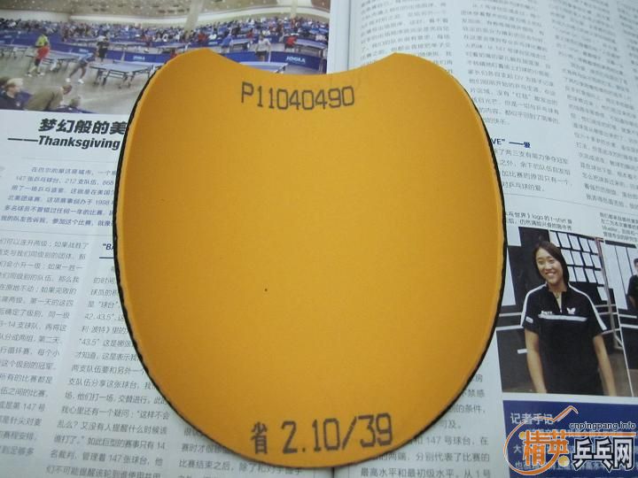 @@@@@ ����Ƭʡ�� @@@@@